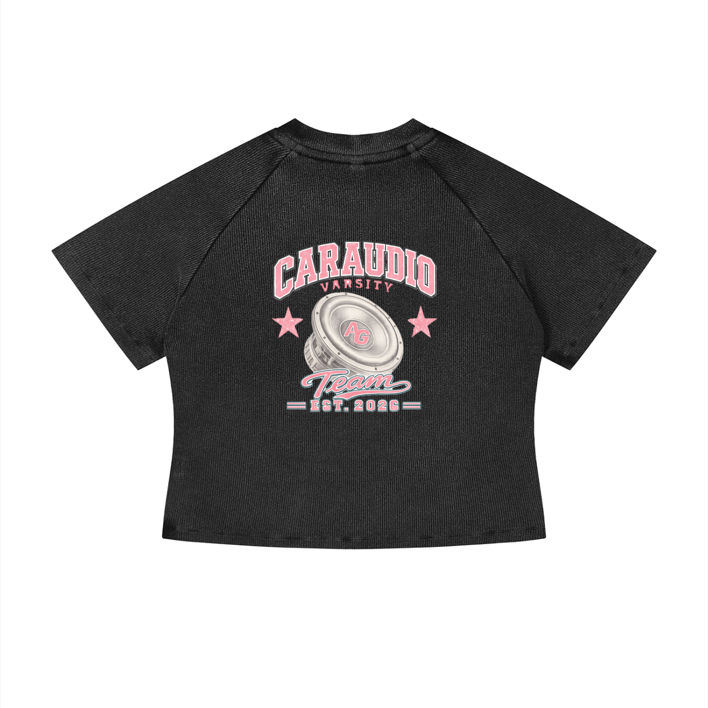 Women's "Vice" Mineral Wash Crop T-Shirt